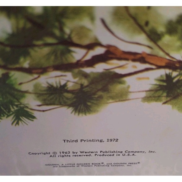 Tommy's Camping Adventure Little Golden Book Gladys Saxon 1972 3rd Printing 1405 - Picture 3 of 6